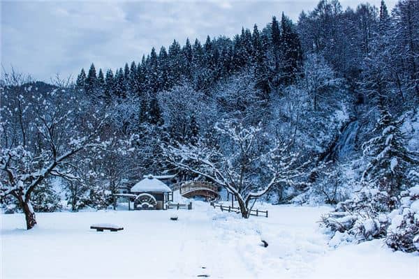 大雪