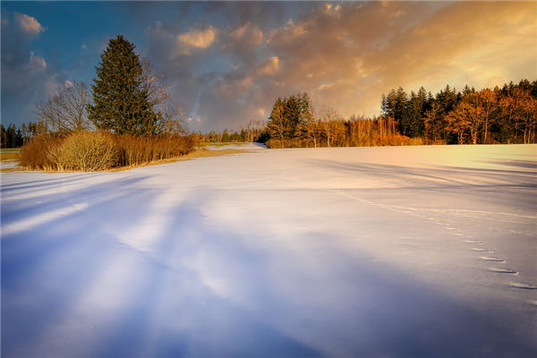 梦见雪地啊是什么意思