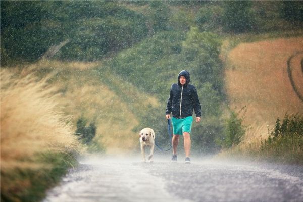 梦见瓢泼大雨是什么意思