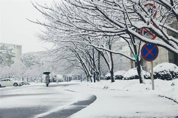 梦见飘雪花是什么意思