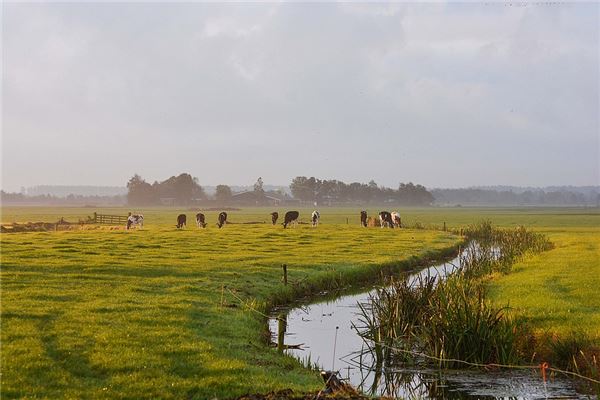 梦见河沟是什么意思