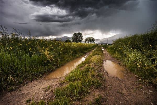 梦见雨后道路泥泞是什么意思