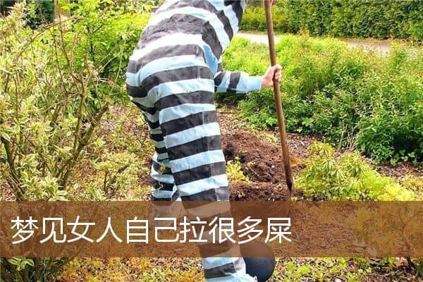 梦见女人自己拉很多屎是什么意思