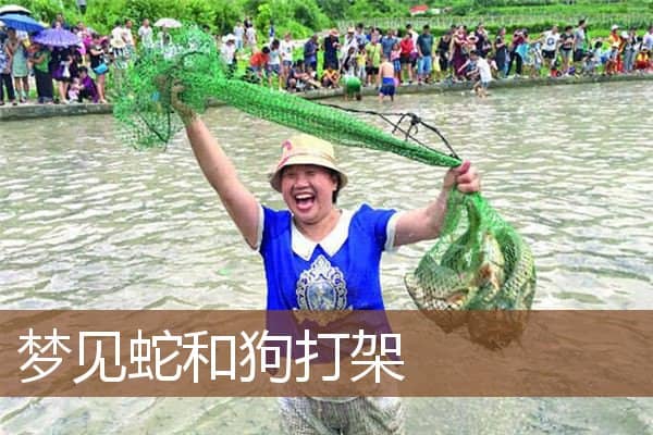 梦见蛇和狗打架是什么意思