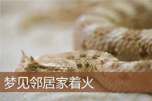 梦见邻居家着火是什么意思