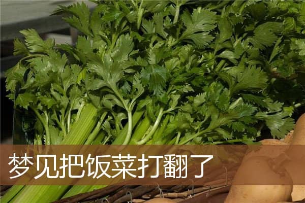 梦见把饭菜打翻了是什么意思