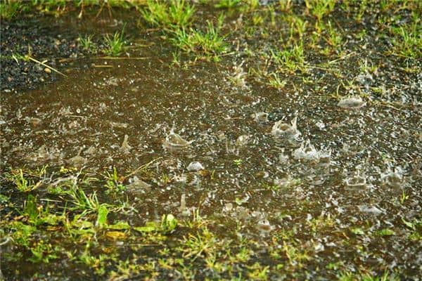 梦见刮风下雨是什么意思