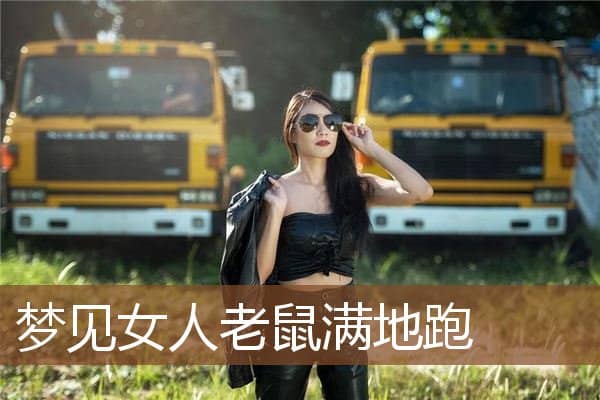 梦见女人老鼠满地跑是什么意思