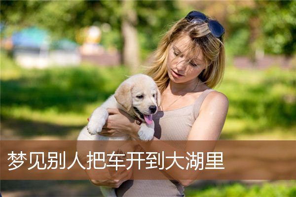 梦见别人把车开到大湖里是什么意思