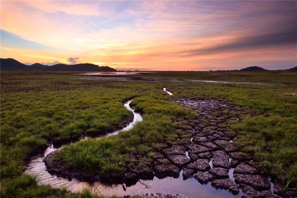 梦见地里有水是什么意思