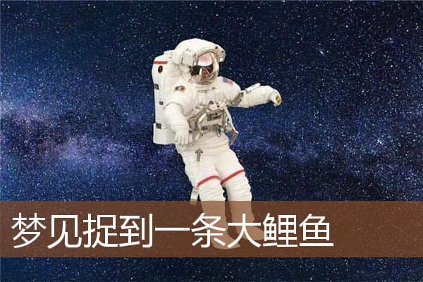 梦见捉到一条大鲤鱼是什么意思