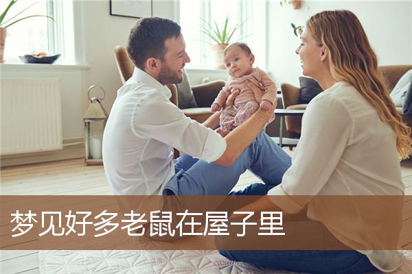 梦见好多老鼠在屋子里是什么意思