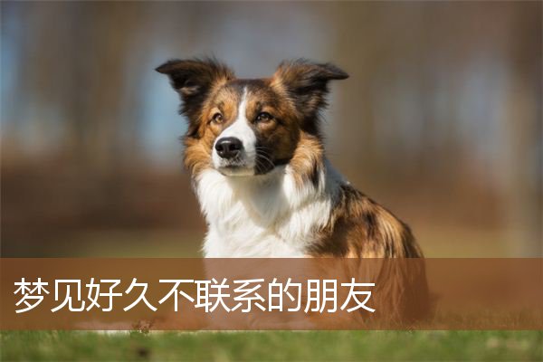 好久不联系的朋友