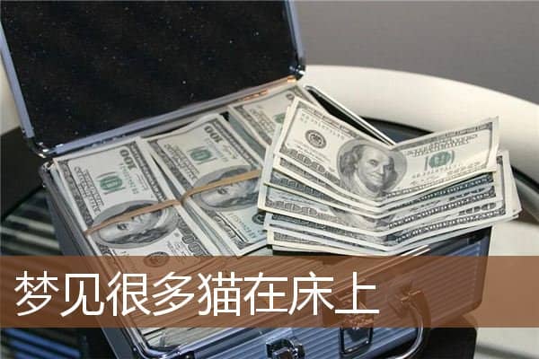 梦见很多猫在床上是什么意思