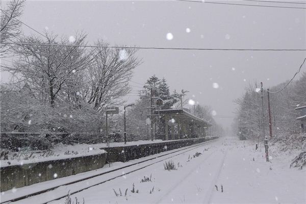 梦见下大雪是什么意思