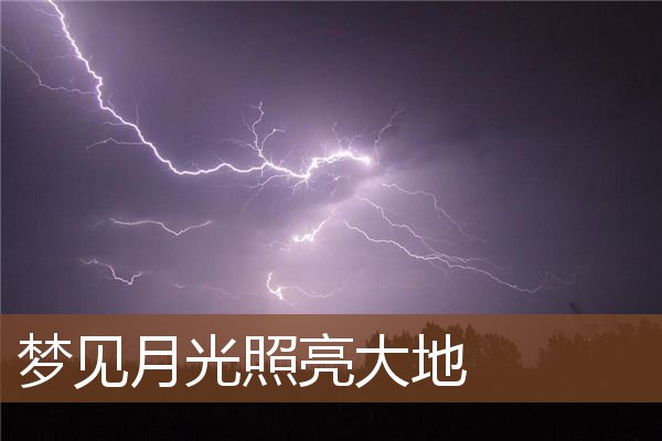 梦见月光照亮大地是什么意思