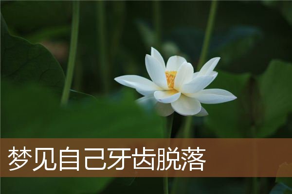 梦见自己牙齿脱落是什么意思