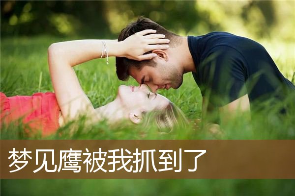 梦见鹰被我抓到了是什么意思