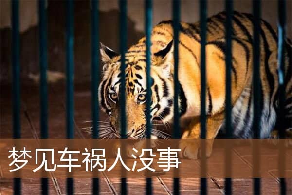 梦见车祸人没事是什么意思