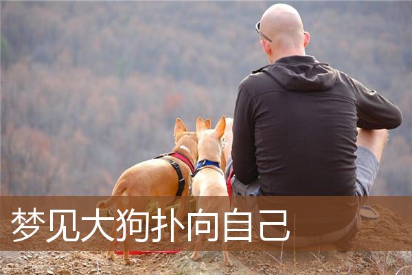 梦见大狗扑向自己是什么意思