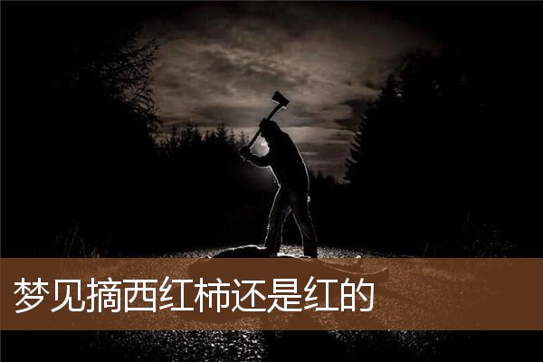 梦见摘西红柿还是红的是什么意思