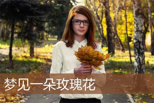 梦见一朵玫瑰花是什么意思