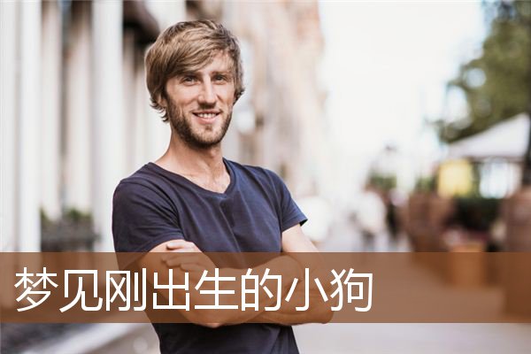 梦见刚出生的小狗是什么意思