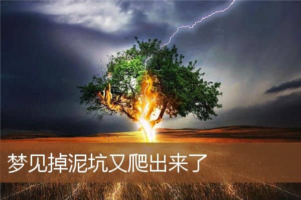 梦见掉泥坑又爬出来了是什么意思