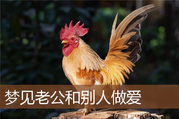 梦见老公和别人做爱是什么意思