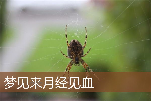 梦见来月经见血是什么意思