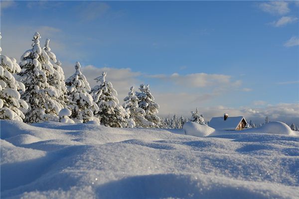 梦见满地白雪是什么意思