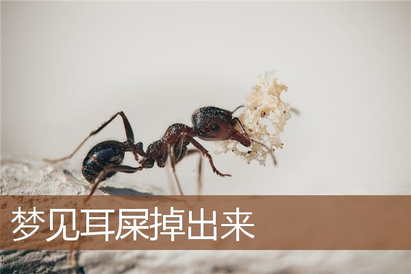 梦见耳屎掉出来是什么意思