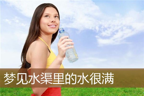 梦见水渠里的水很满是什么意思