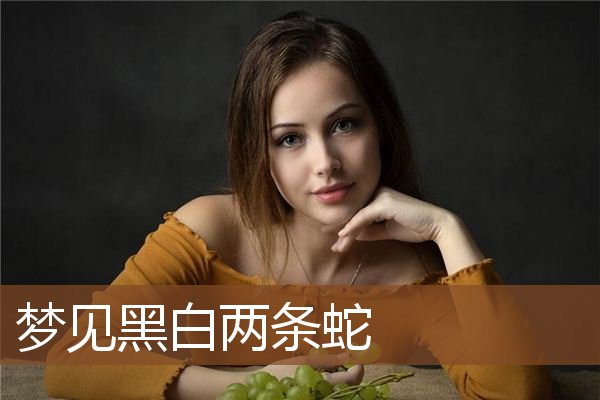 梦见黑白两条蛇是什么意思