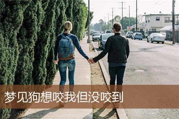 梦见狗想咬我但没咬到是什么意思