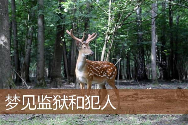 梦见监狱和犯人是什么意思