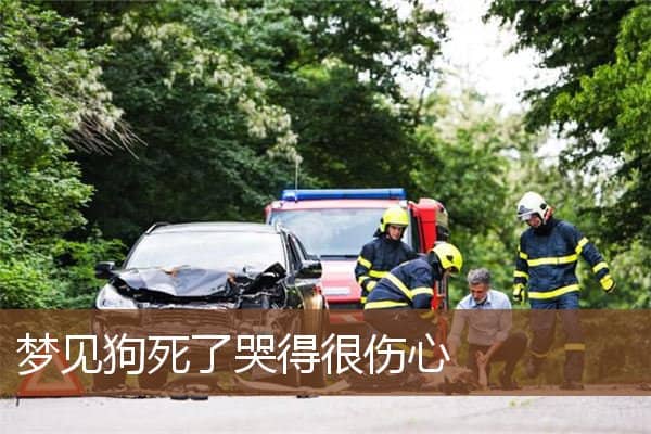 梦见狗死了哭得很伤心是什么意思