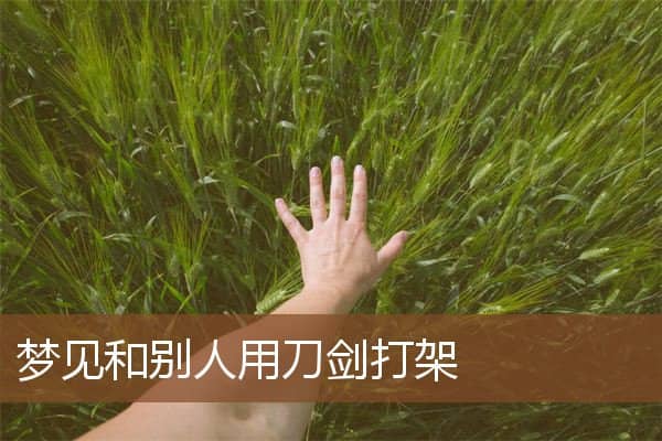 梦见和别人用刀剑打架是什么意思