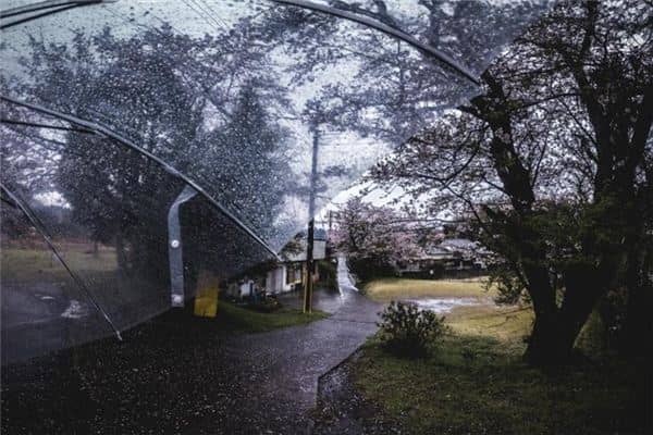 梦见屋漏雨是什么意思