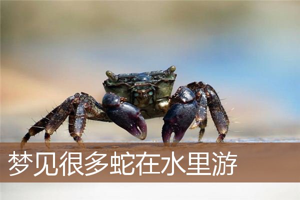 梦见很多蛇在水里游是什么意思