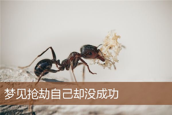 梦见抢劫自己却没成功是什么意思