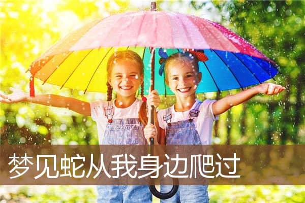 梦见蛇从我身边爬过是什么意思