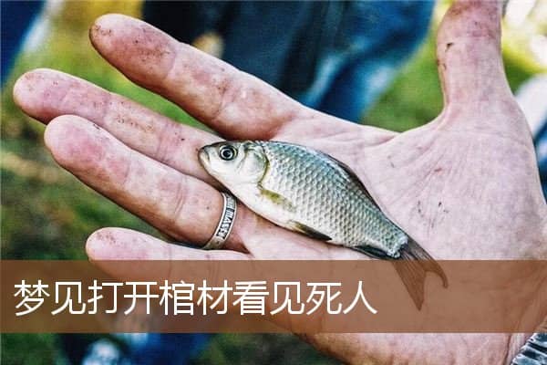 梦见打开棺材看见死人是什么意思