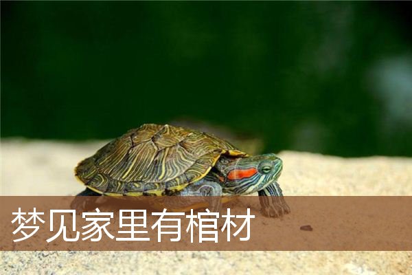 梦见家里有棺材是什么意思