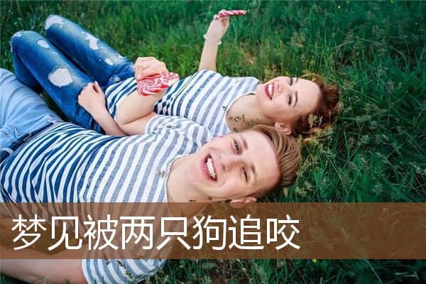 梦见被两只狗追咬是什么意思