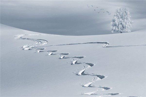 梦见雪路是什么意思