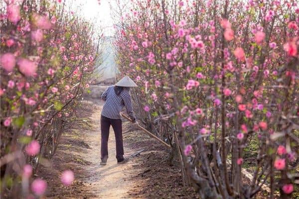 梦到了别人挖地是什么意思