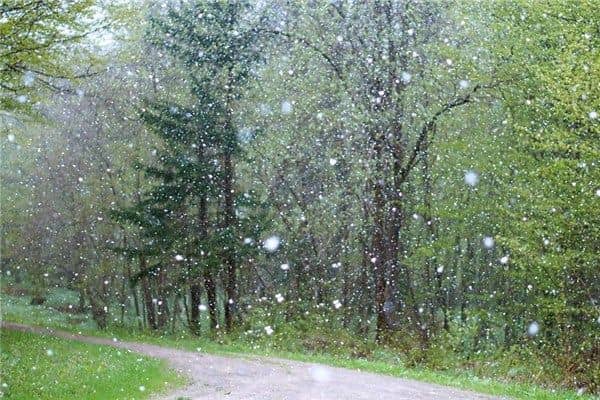 梦见下雨雪是什么意思