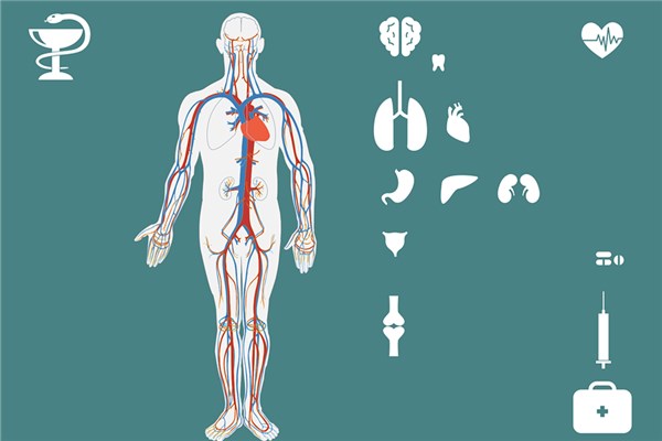 梦见五脏六腑是什么意思