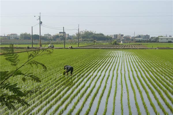 梦到地里干活是什么意思